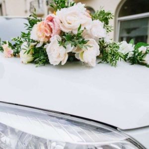 Read more about the article Glamorous Wedding with Luxury Cars | Hire Luxury Rental Cars